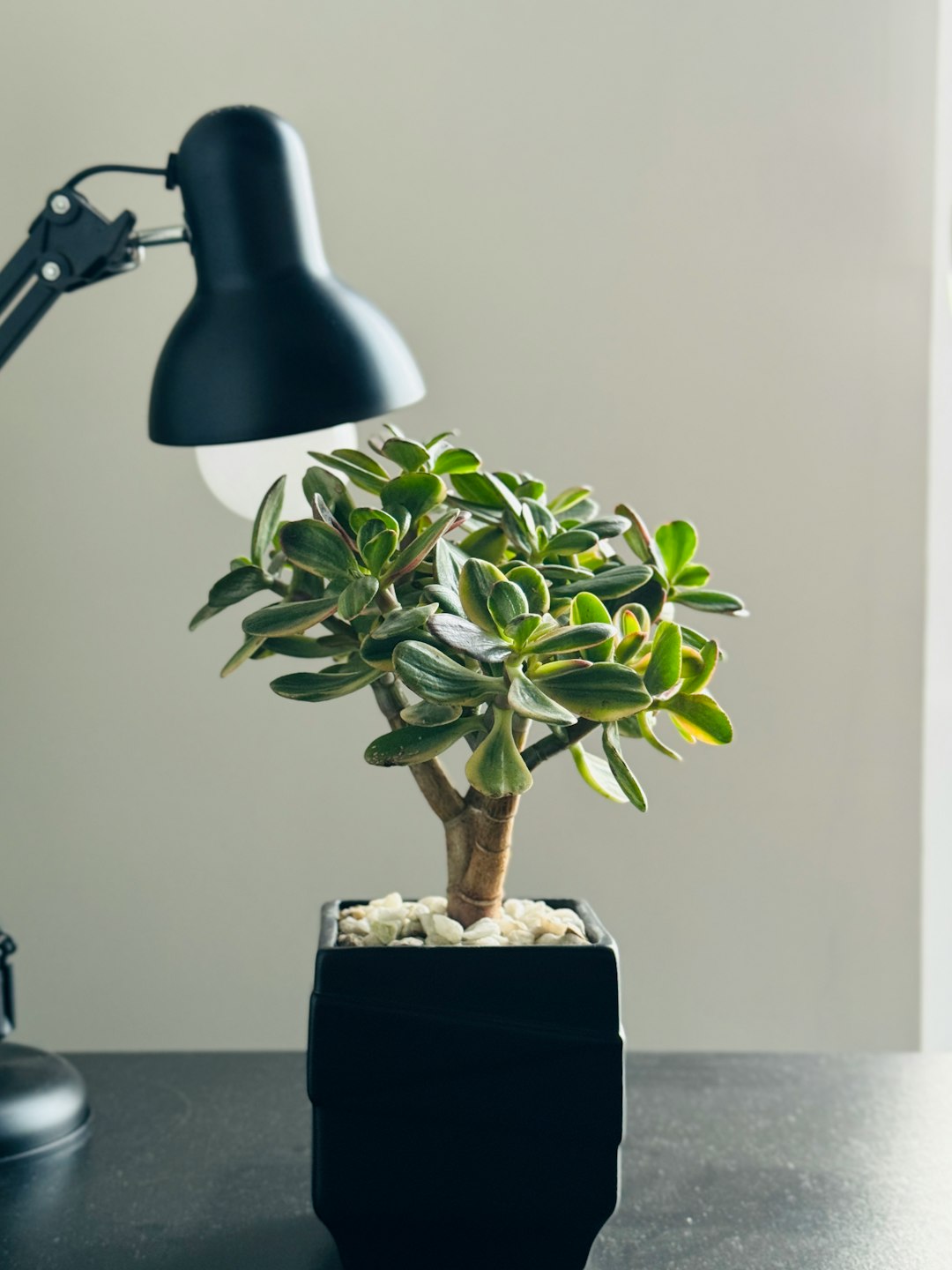 Creative Office Space